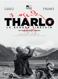 Tharlo, le berger tibétain streaming vf Tharlo, le berger tibétain