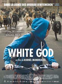 White God streaming vf White God