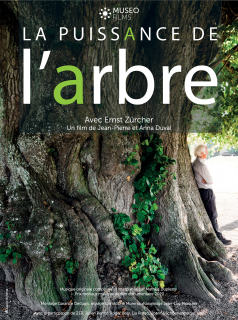 La Puissance de l’arbre avec Ernst Zürcher