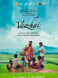 Vaazhai